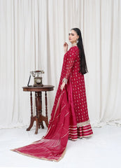 Mahroon Embroidered - MFN037 - Maryam Fashions