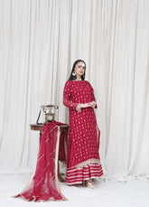 Mahroon Embroidered - MFN037 - Maryam Fashions