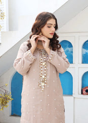 Premium Embroidered Chiffon Suit for Women β Soft Beige / Nude