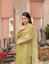 Light Olive Embroidered Organza Suit | Maryam Fashions