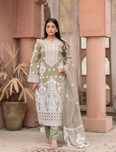 Light Olive Organza Embroidered Suit | Maryam Fashions - Maryam Fashions
