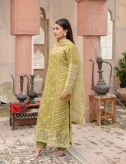 Light Olive Embroidered Organza Suit | Maryam Fashions - Maryam Fashions