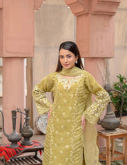 Light Olive Embroidered Organza Suit | Maryam Fashions