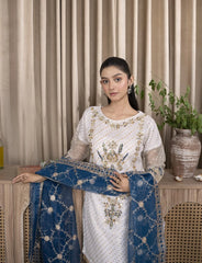 White Organza Suit – Maryam Fashions