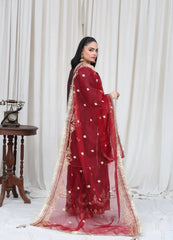 Maroon Embroidered Suit– Maryam Fashions