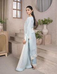 Ice Blue Organza Suit – MaryamFashions