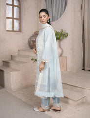 Ice Blue Organza Suit – MaryamFashions